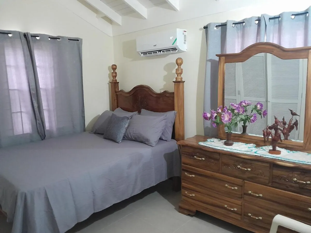 C & J'S Coco Manor Vacation Home Old Harbour Giamaica